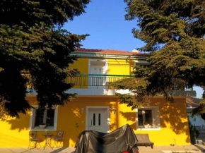 Yellow House